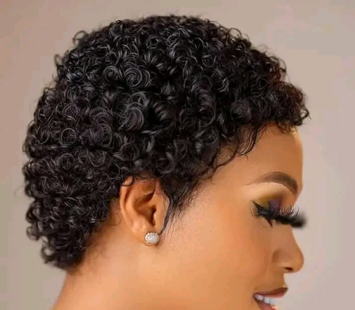 Human Hair wig 
